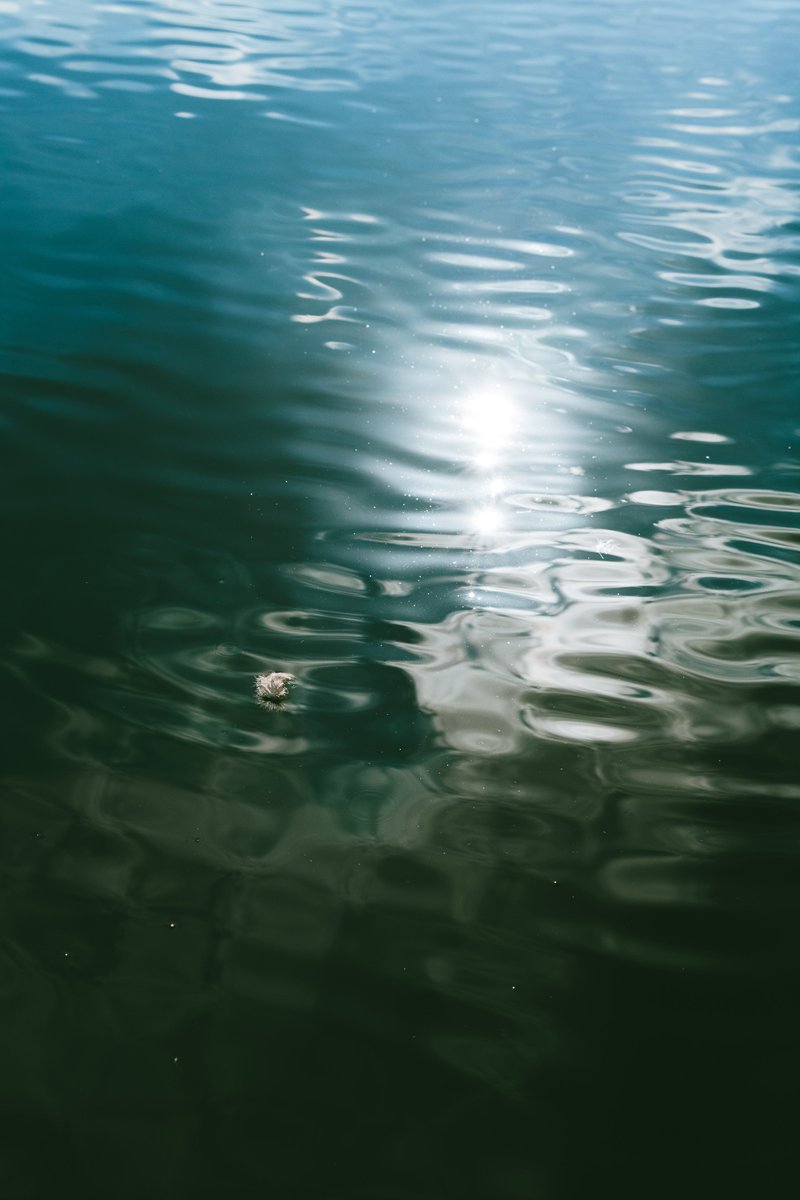 アキモト tweet media