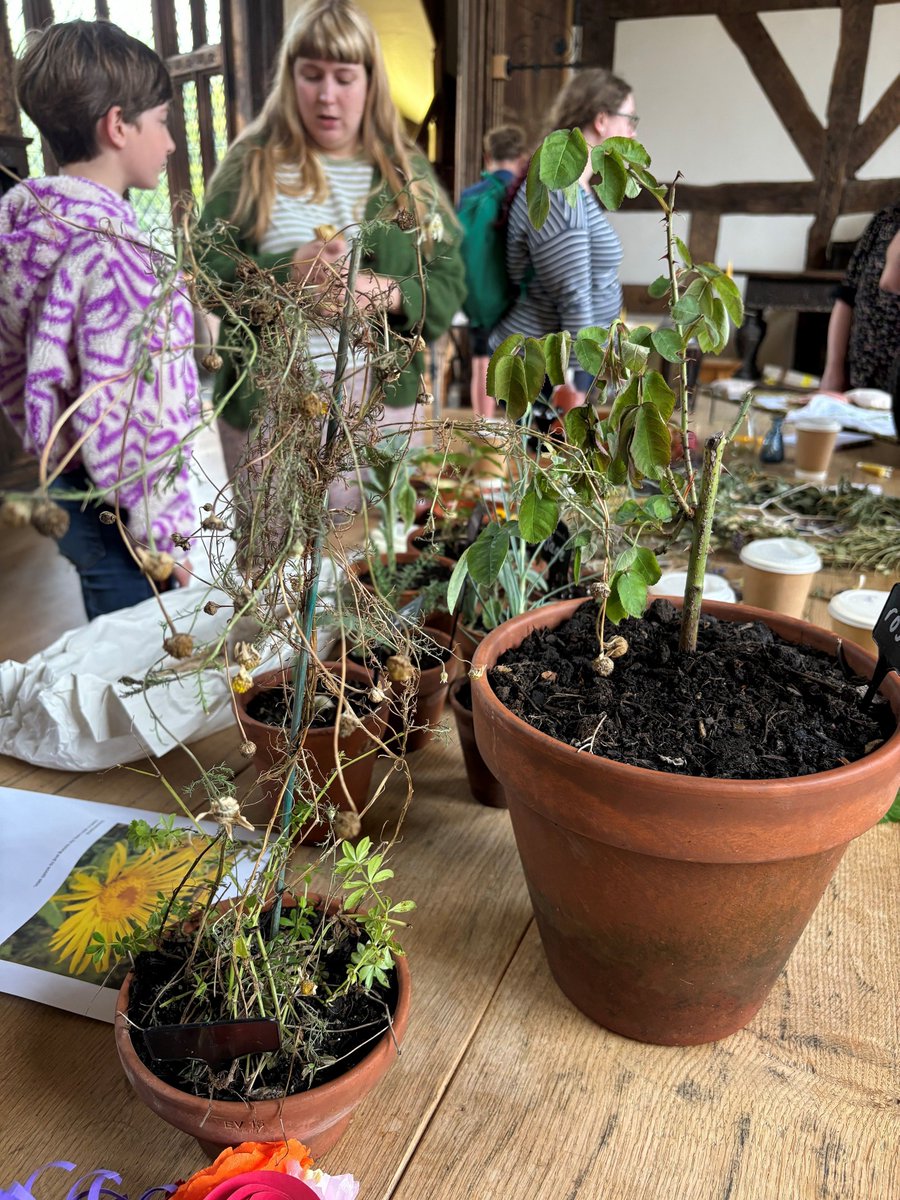 Last Sunday we celebrated the end of the @sleepingwell4 project here at the Hall! It was great to see visitors get involved with the activities and to see how far the project has come!

#sleepingwell #ordsallhall #freemuseum #freeevent