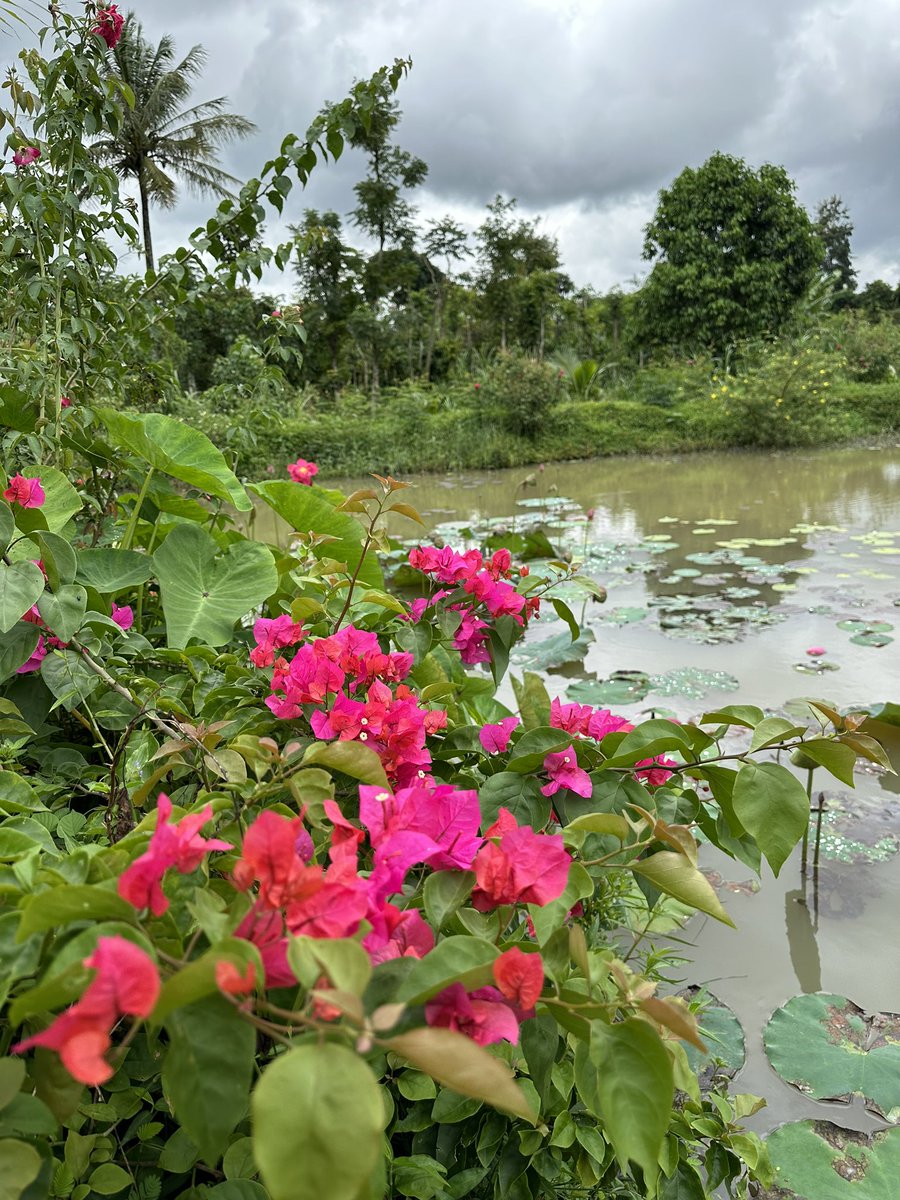 Niềm vui mỗi ngày của ngừi nông dânnn bé nhỏ 😆😆😆