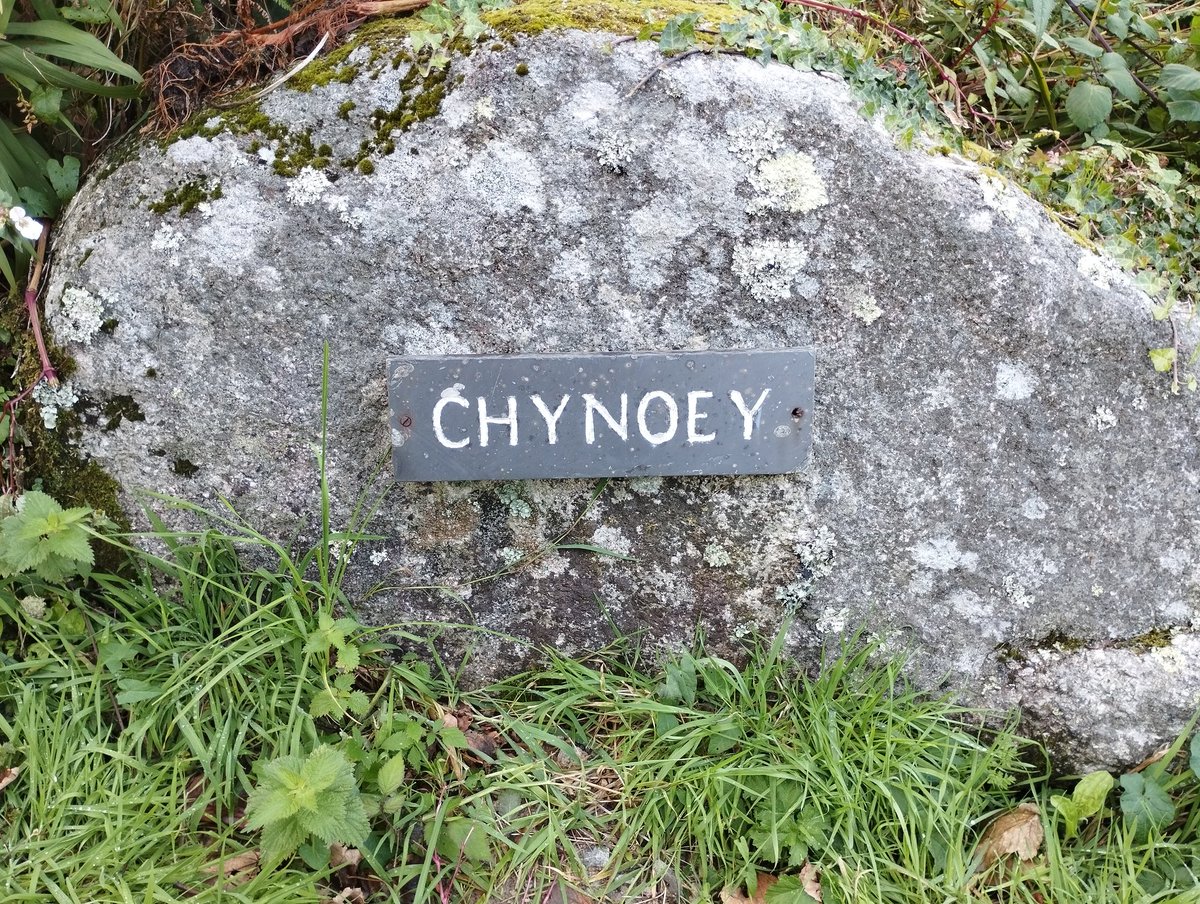 Chynoey