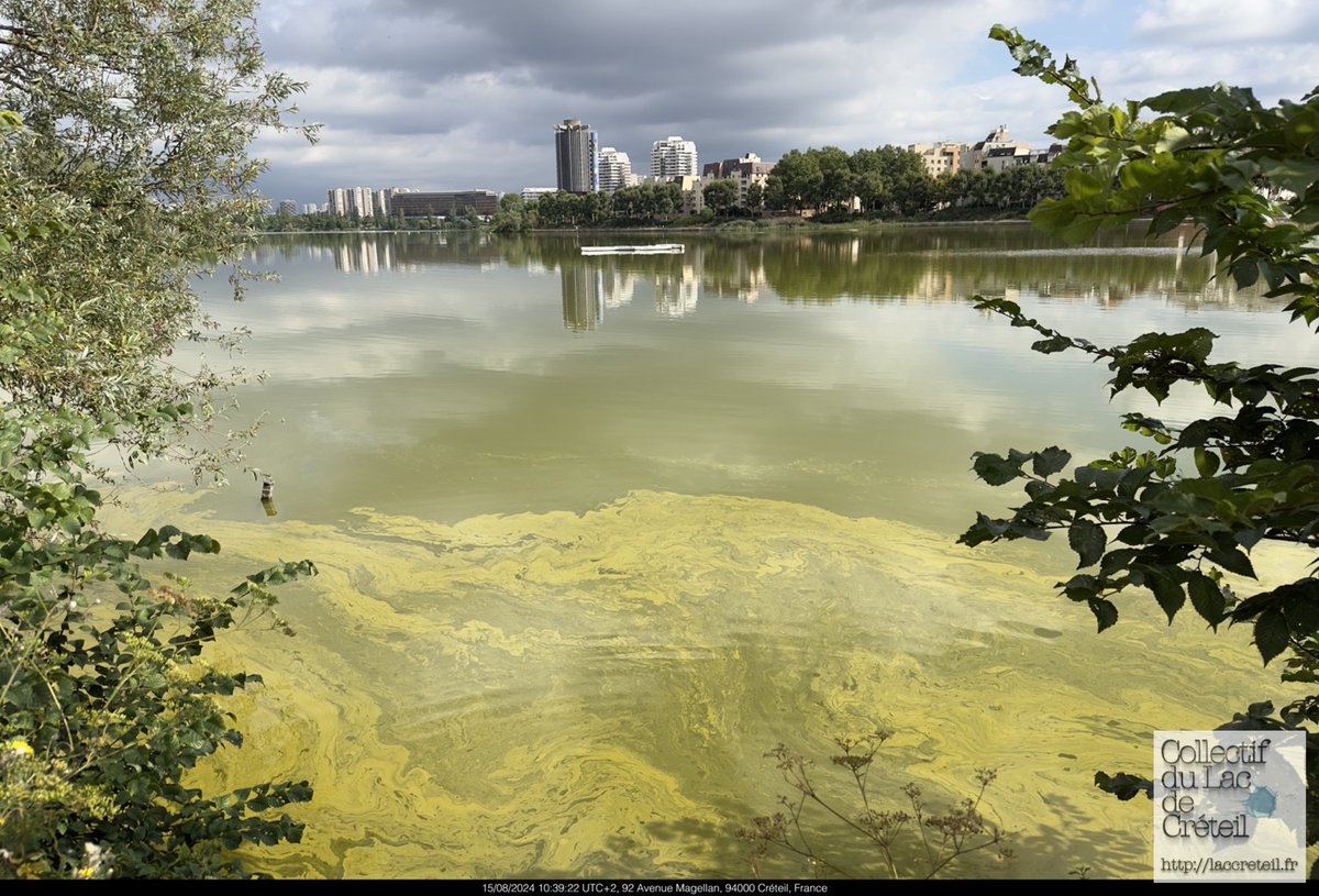 Lac de Créteil tweet media