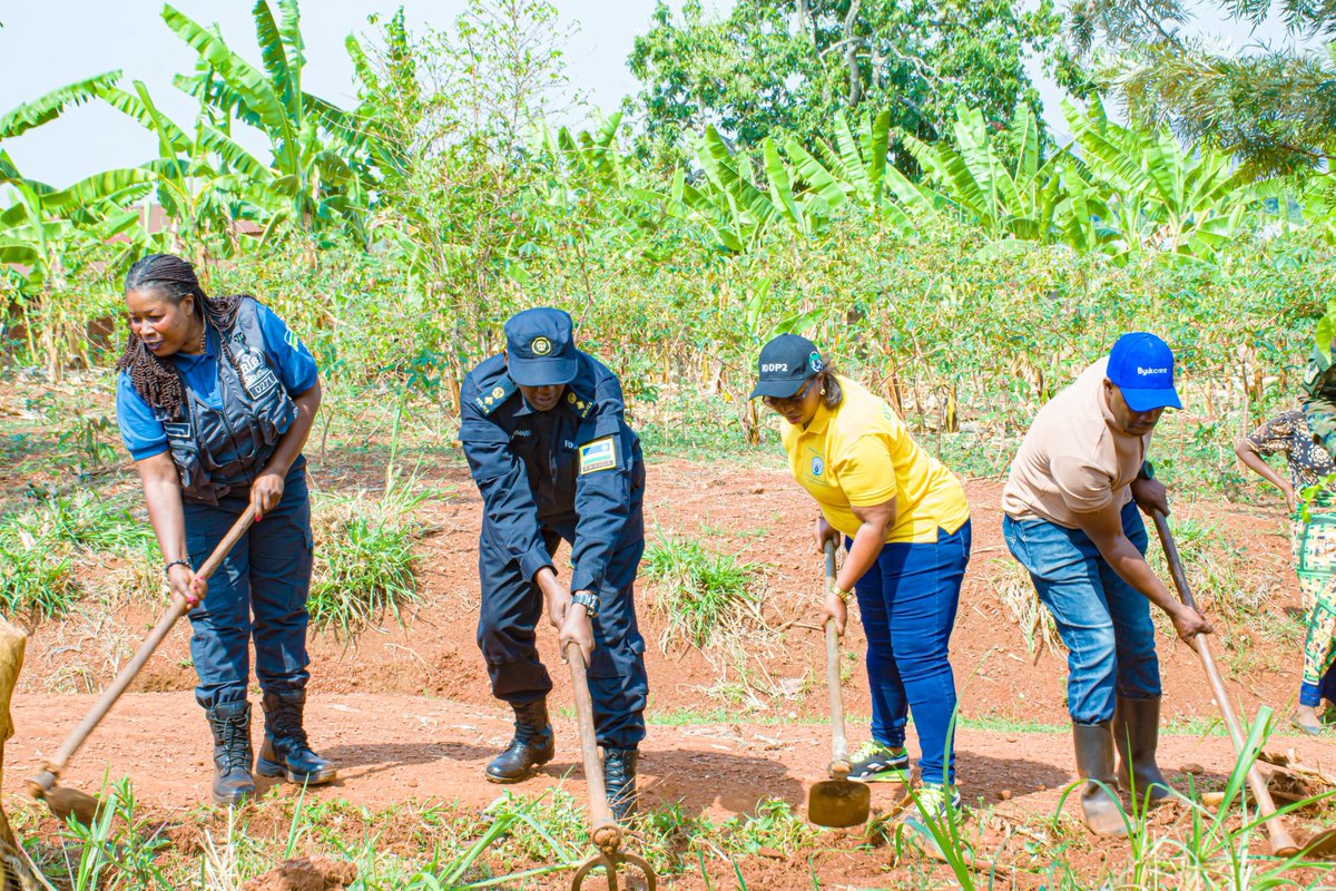 Mutenderi sector tweet media