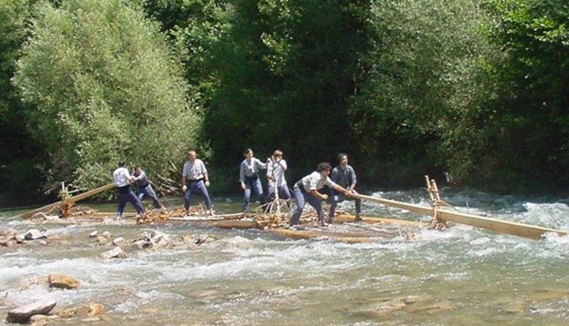 JM Virgili i Ortiga tweet media