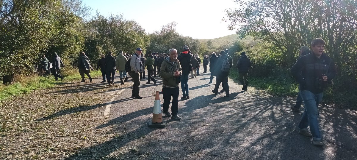 Wacky_Anteater's tweet image. Pale-Legged Leaf Warbler ✅️ in the bag. Yorkshire is best! @FlamboroughBird