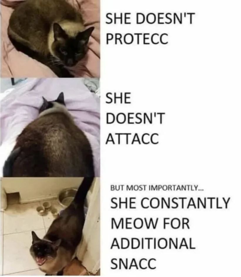 WholesomeMemes (@wholesomememe) on Twitter photo 