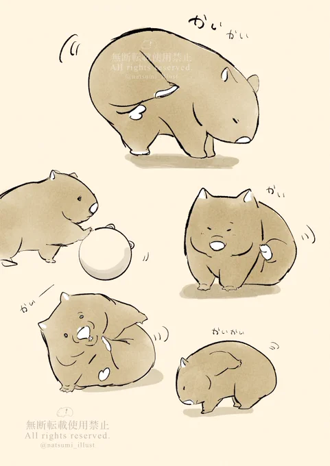 #絵柄の振れ幅見せて 