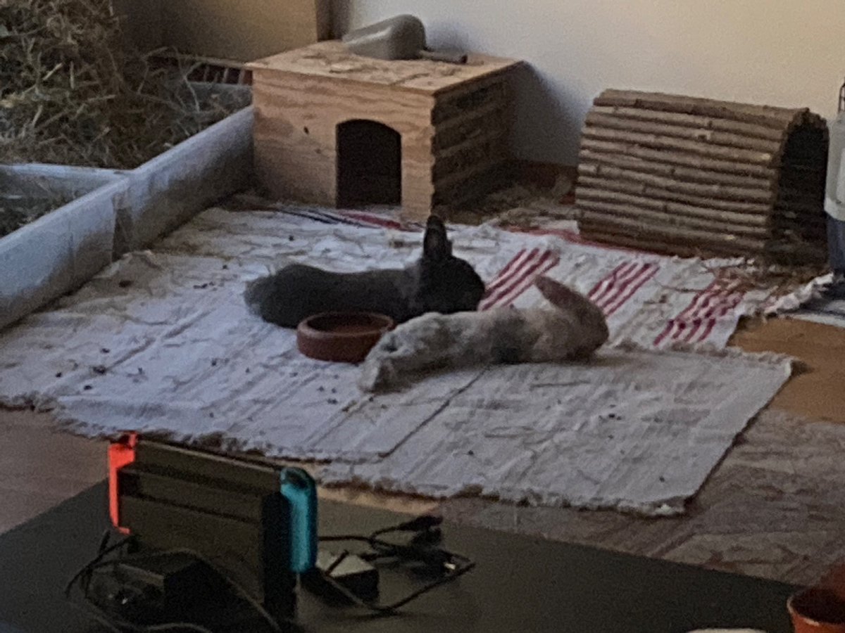 Aaron A. Glenn tweet media