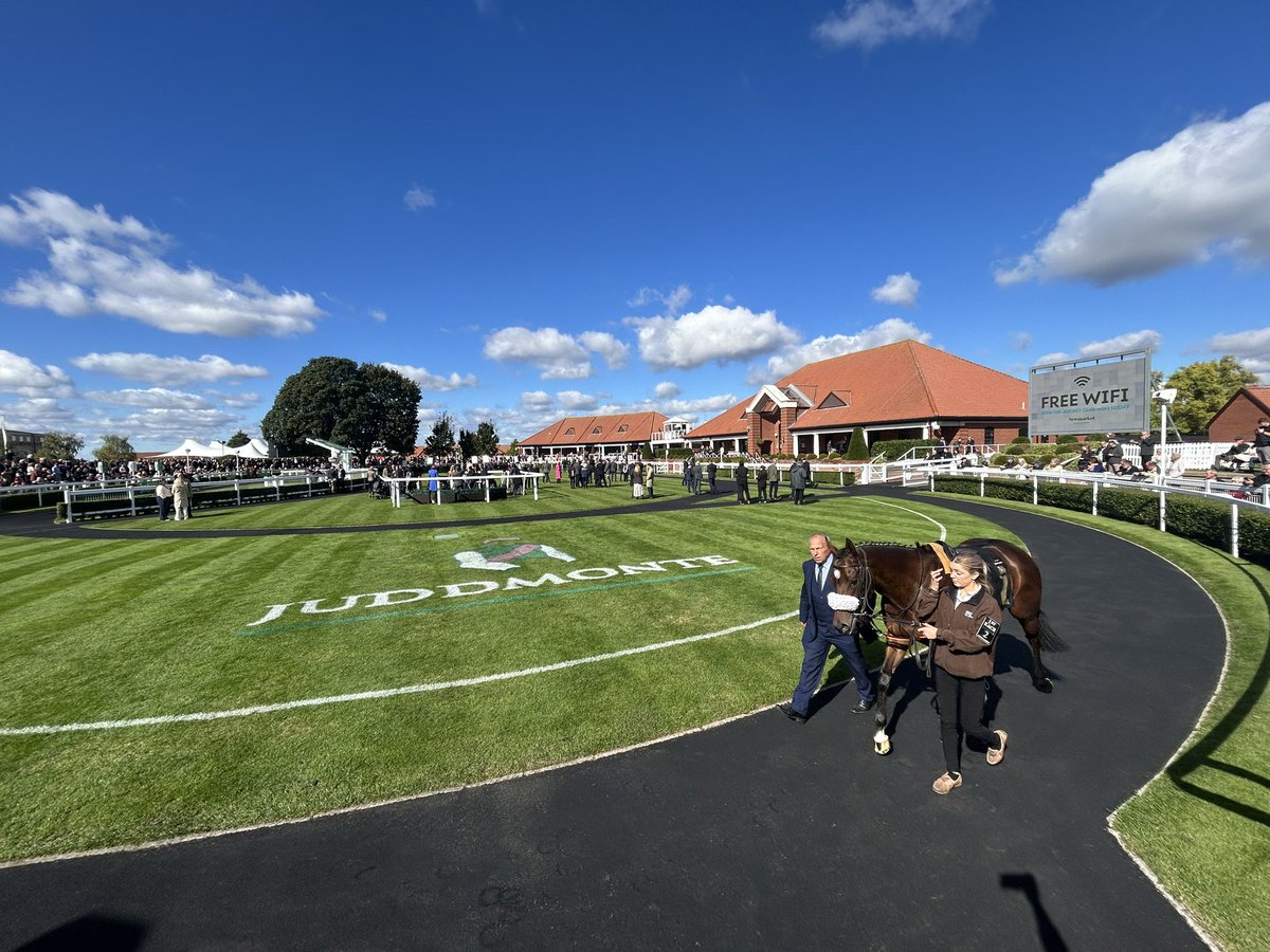 Laura Gibson-Brabazon tweet media