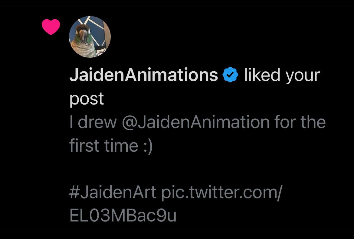 Omgomgongifngofmgmfjdbdk

AAAAAAAA