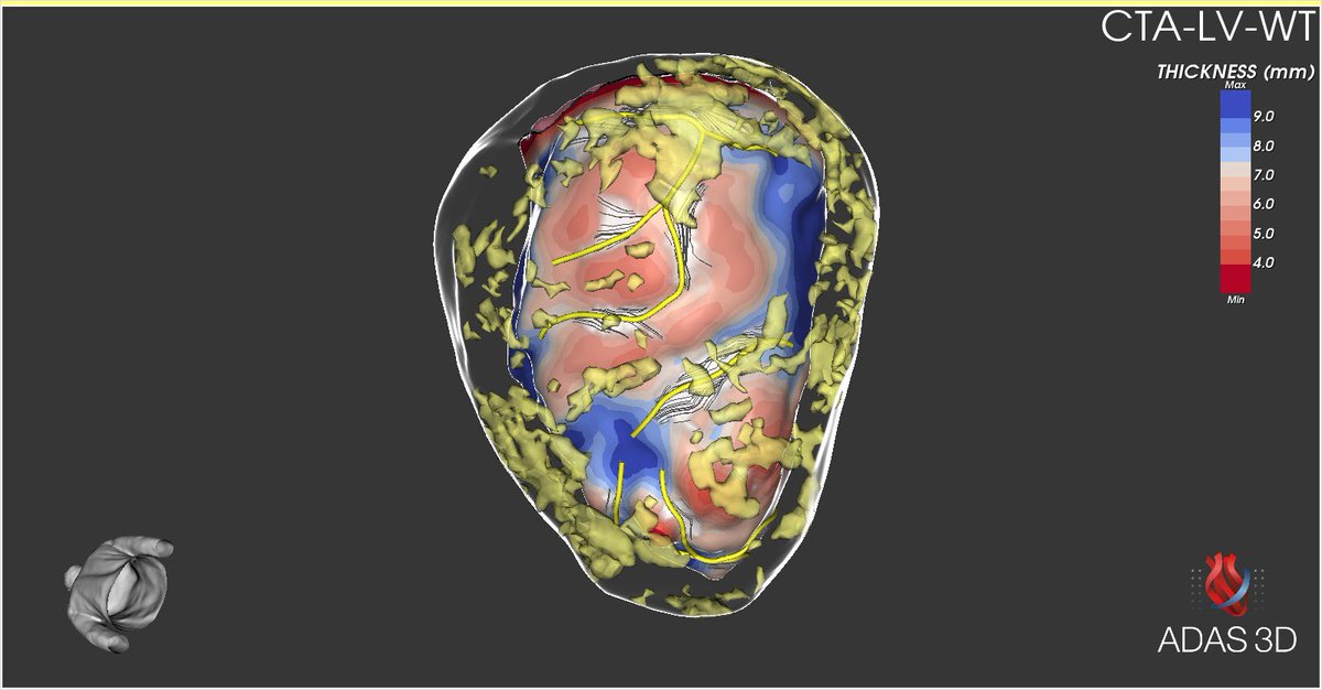 Ivo Roca, FEHRA, FESC tweet media