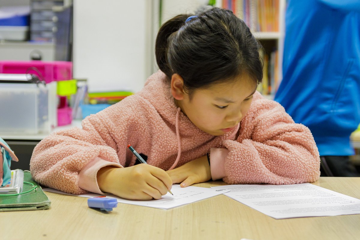 🎓A la Fundació Comtal creiem que l'educació és la clau més potent per combatre les #desigualtats socials. És per això que  acompanyem nens/es i joves en els seus itineraris formatius, oferint-los el suport necessari per afrontar els seus #reptes educatius i personals.