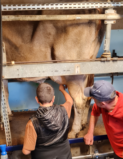 CollegeWeyer's tweet photo. Visite d'une ferme pédagogique en bio. Découverte des métiers de l'agriculture, de la ferme et des animaux pour de nombreux citadins. Apporter du soin aux animaux, comprendre l'alimentation et faire du lien Ville campagne. Merci M et Mme Lalleuf. https://t.co/QHyI0fLT3M