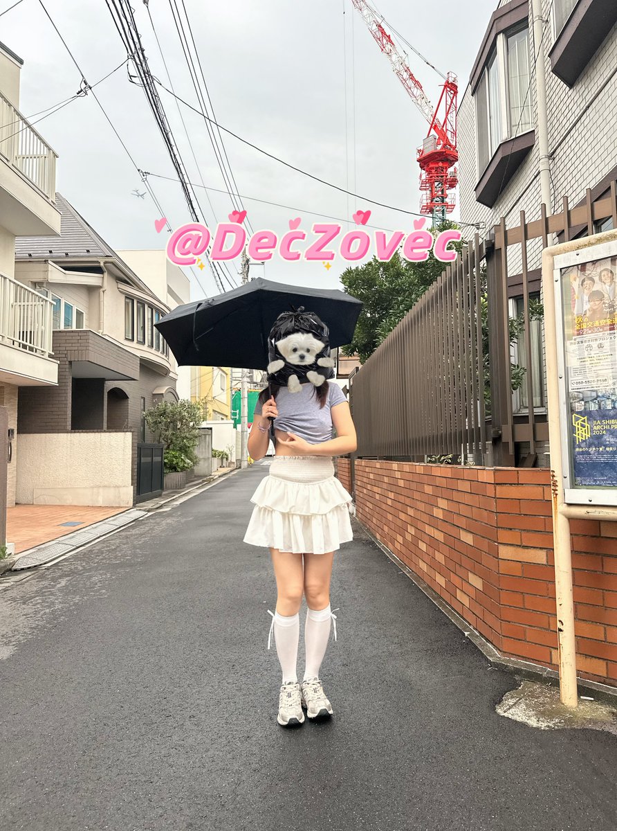 在日本街道露出，被图4的大叔发现后一直尾随着我们，但他只敢在远处偷看不敢靠近我们，最刺激的是小🐶走之前还故意转过身跟大叔对视了好几秒，让大叔看到正面裸露的胸🤫
@luchu888 https://t.co/Ko2hTg4N9r