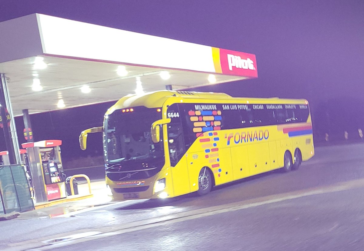 MemphisTNDel901's tweet photo. I just saw about 5 of these buses full of immigrants here in West Memphis, AR!!! Heading North 55 ๐คฆ๐ฟโโ๏ธ๐คฆ๐ฟโโ๏ธ๐คฆ๐ฟโโ๏ธ๐คฆ๐ฟโโ๏ธ๐คฆ๐ฟโโ๏ธ Ya'll can thank Kopmala for this BS!!!! #EnoughIsEnough #Return2Sender #EnoughIsEnough #WeHadEnough #Delineation2024 https://t.co/uTPMNT5GKW