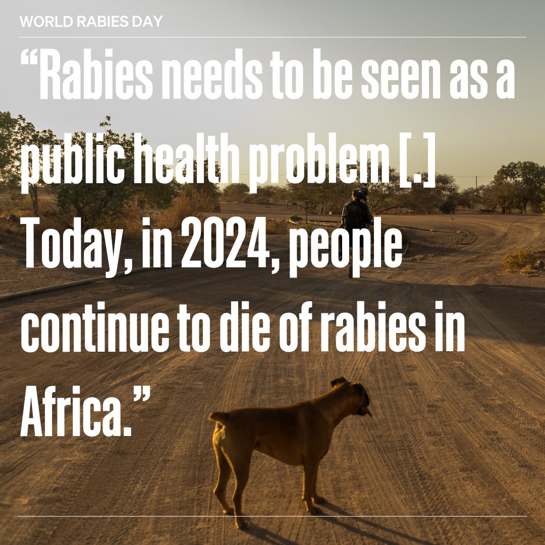 WOAH's tweet photo. With help from WOAH’s vaccine bank, Guinea has taken a significant step toward eliminating rabies with its first-ever nationwide dog vaccination campaign. Through collaborative initiatives, the country is on a mission to eliminate the spread of dog-mediated rabies by 2030.