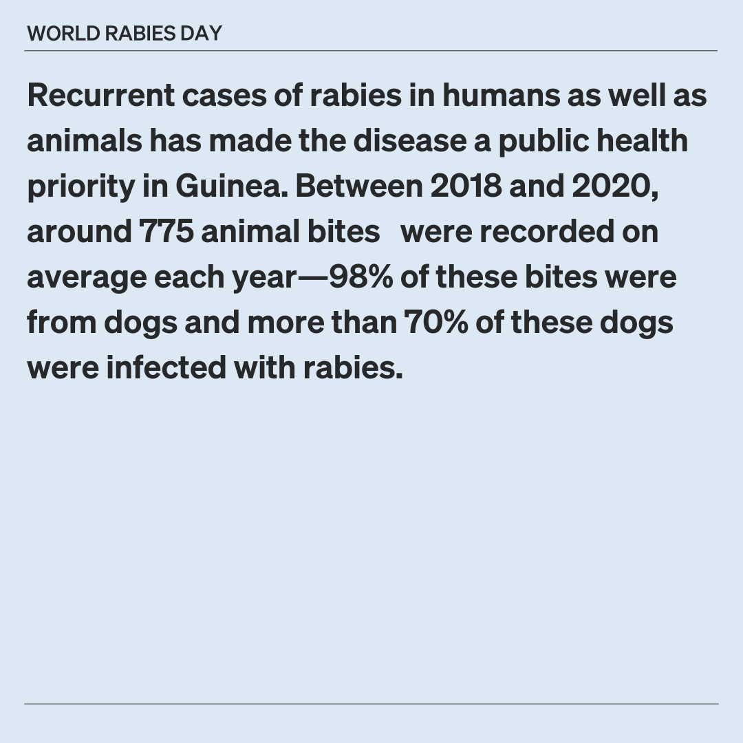 WOAH's tweet photo. With help from WOAH’s vaccine bank, Guinea has taken a significant step toward eliminating rabies with its first-ever nationwide dog vaccination campaign. Through collaborative initiatives, the country is on a mission to eliminate the spread of dog-mediated rabies by 2030.