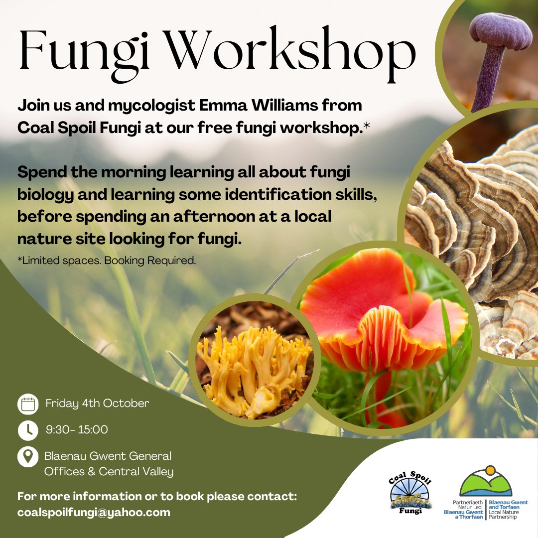 Emma Williams tweet media