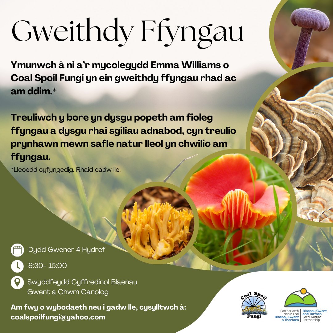 Emma Williams tweet media