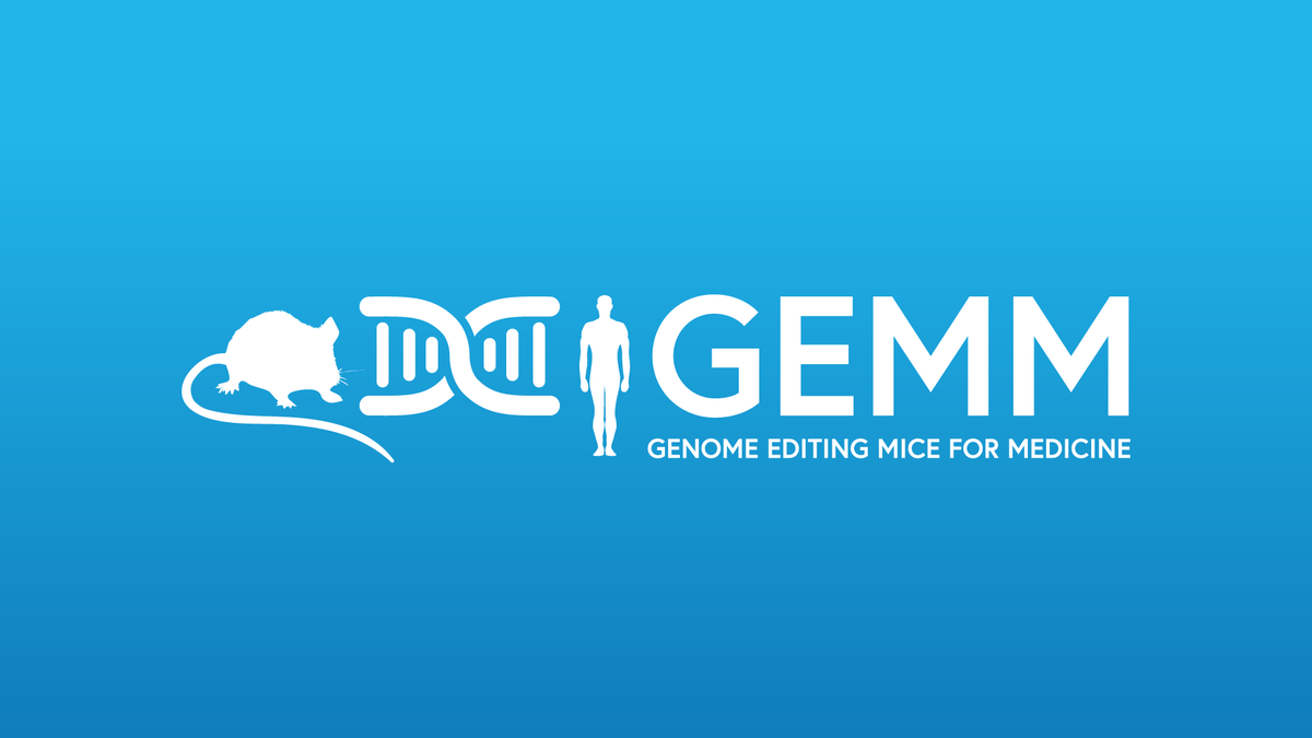MRCHarwell's tweet photo. Don't forget to put together your application for our Rare Diseases Genome Editing Mice for Medicine call to be in with a chance of getting your free, novel, genetically altered mouse model generated by the Mary Lyon Centre

Deadline: 3rd October

https://t.co/FdwRHqeipi https://t.co/a4IDAZtSbn