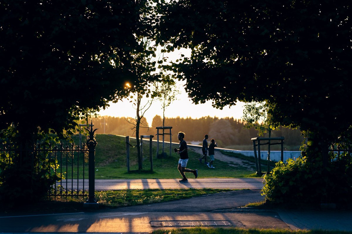 Fredography tweet media