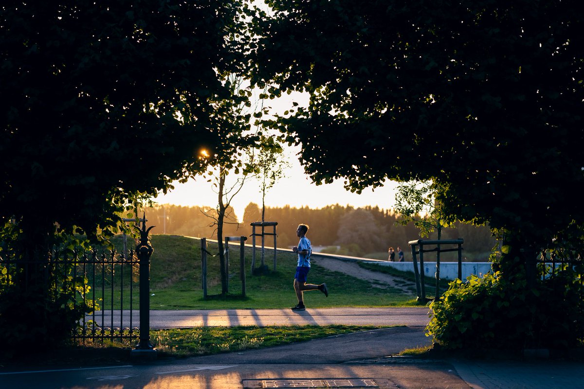 Fredography tweet media