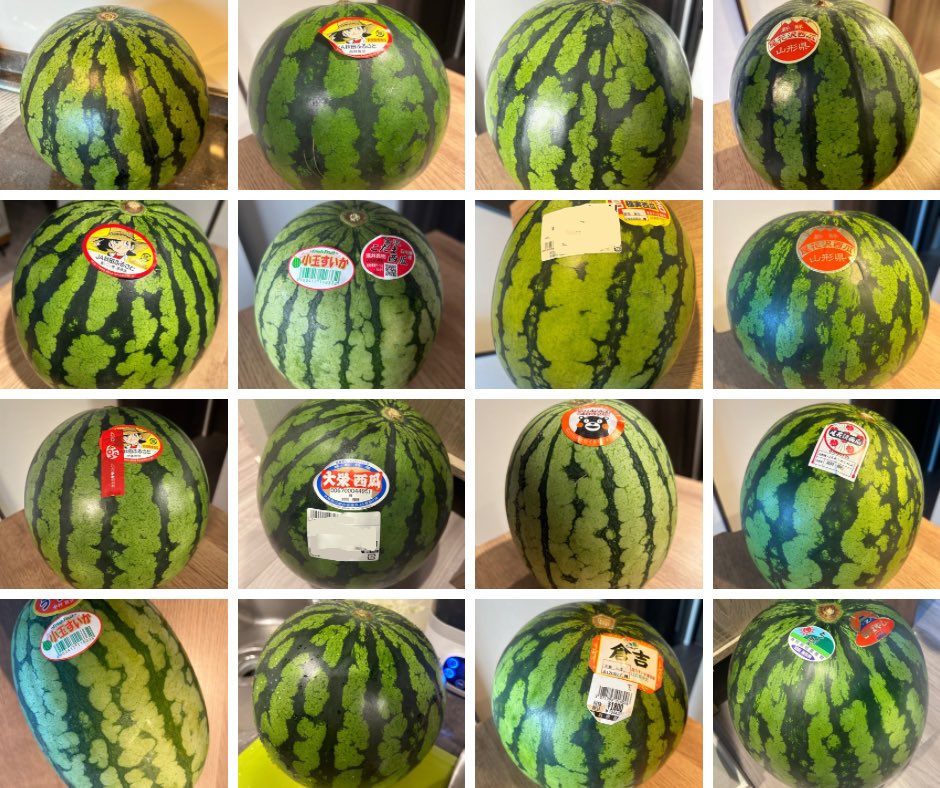 tomoe_applelove's tweet photo. 今年食べたスイカは17玉🍉予め切っておくとフォークで食べられるので、授乳中お腹が空いた時どれほど助かったことか😭✨昨年の19玉には及びませんでしたが、スイカの皮はシトルリン豊富ということで今年は白い所も料理に使って余すことなく頂きました😋
#スイカ #スイカ大好き #watermelon https://t.co/50HRhGK0W8