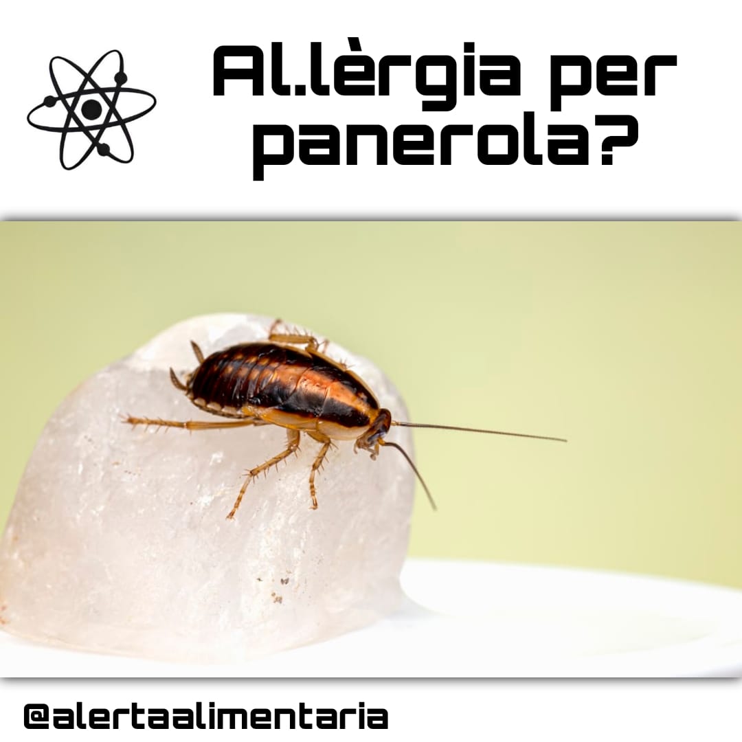 📢 Sabies que les paneroles poden causar al·lèrgies alimentàries? 😱 Contenen proteïnes que provoquen reaccions i poden contaminar superfícies i aliments! 🚫🍽️ Urticària, picor o fins i tot xoc anafilàctic. Prevén-ho mantenint l’espai net i segur!
#Paneroles #SeguretatAlimentària
