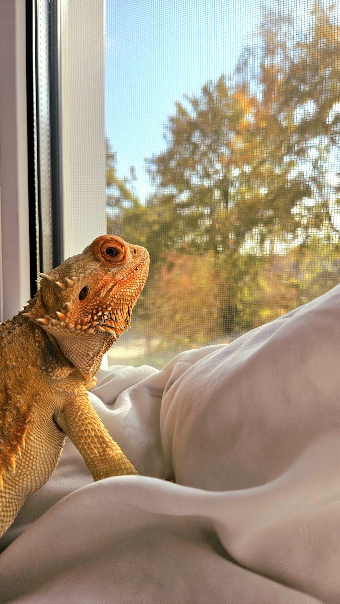 Loooove lazy Saturdays 💫