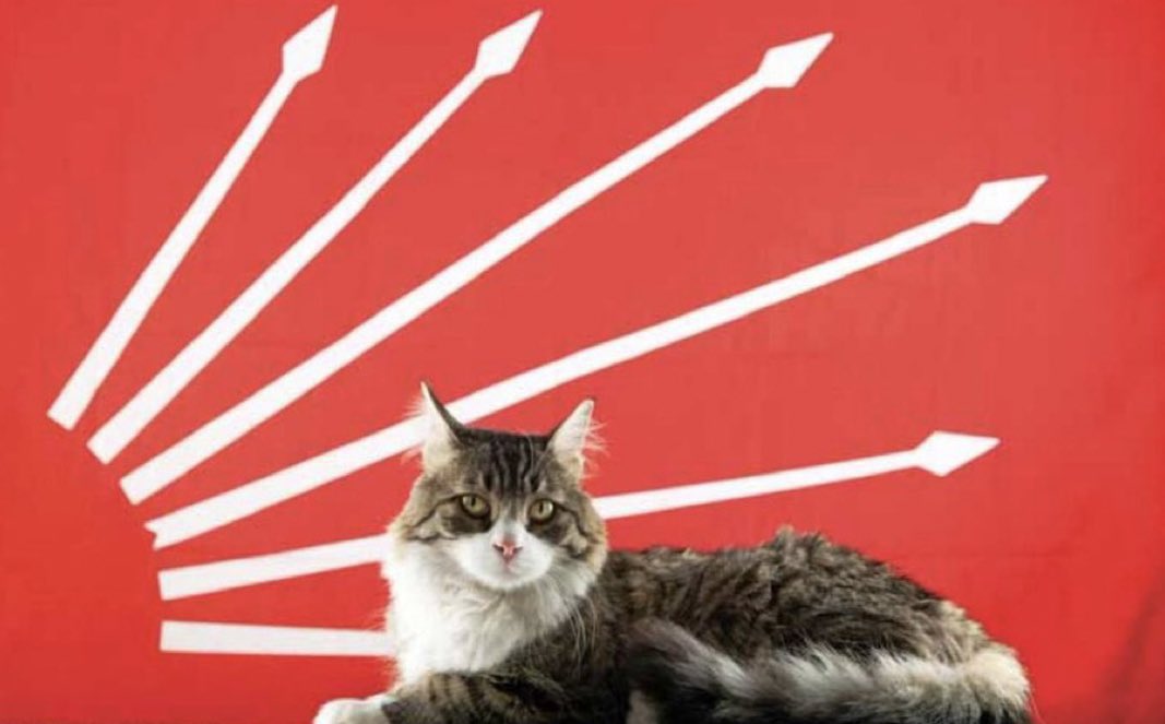 2005-2024 🥀
Seni çok özleyeceğiz..