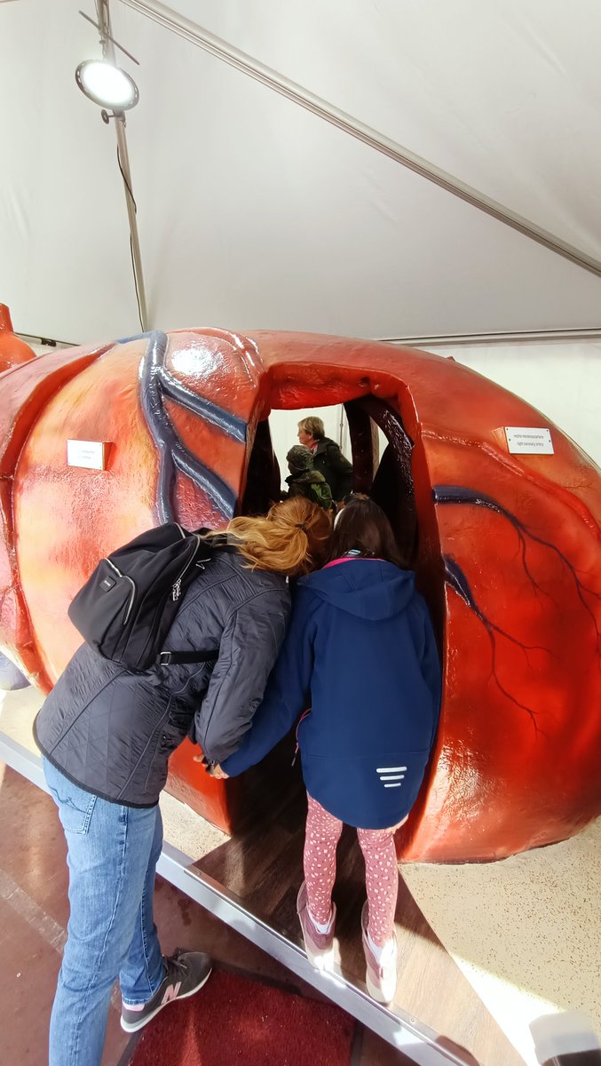 CPI (@cpi_exstra) on Twitter photo We're excited to be at the Science Festival today! 🎉 Come visit us at Booth #2 to learn about our latest research and discover the human heart as a walkable model. See you there! #ScienceFestivalFrankfurt #Frankfurt #Science #HeartHealth #FrankfurtAlliance <a href="/goetheuni/">Goethe-Universität</a> We're excited to be at the Science Festival today! 🎉 Come visit us at Booth #2 to learn about our latest research and discover the human heart as a walkable model. See you there! #ScienceFestivalFrankfurt #Frankfurt #Science #HeartHealth #FrankfurtAlliance <a href="/goetheuni/">Goethe-Universität</a>
