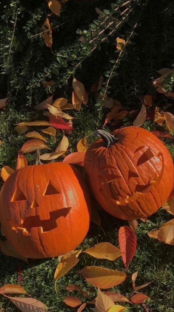 Fall aesthetic