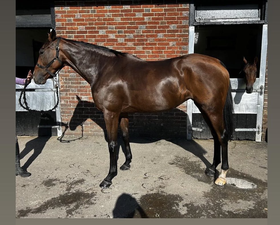 Gold Clermont 🤍🖤❤️ <a href="/guyday77/">Guy Day</a>