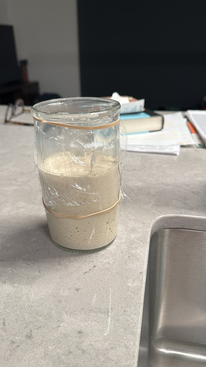 Just me… forever wishing I was as resilient as my sourdough starter. I neglected this thing for 3 months in the fridge. Took it out and fed it and bam. 8 hours later. Doubled in size. So strong 🥹💪