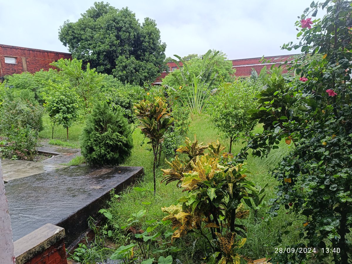iammrujjawal's tweet photo. College campus in rain . 

#LSCollege #BRABU #lscollege #Muzaffarpur #Biharuniversity #College https://t.co/8w0ndd68fi