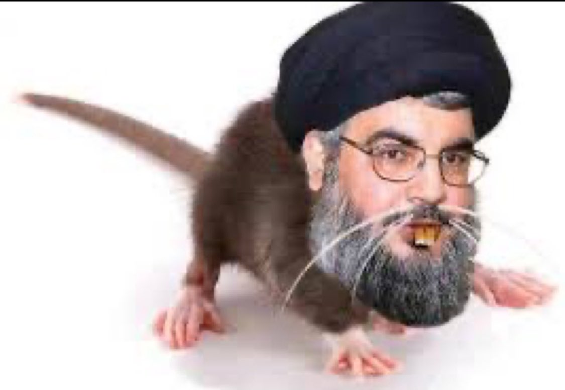 لاقى جزاءه هذا الجرذي الذي باع بلده واهل لكي يرضي الفرس المجوس