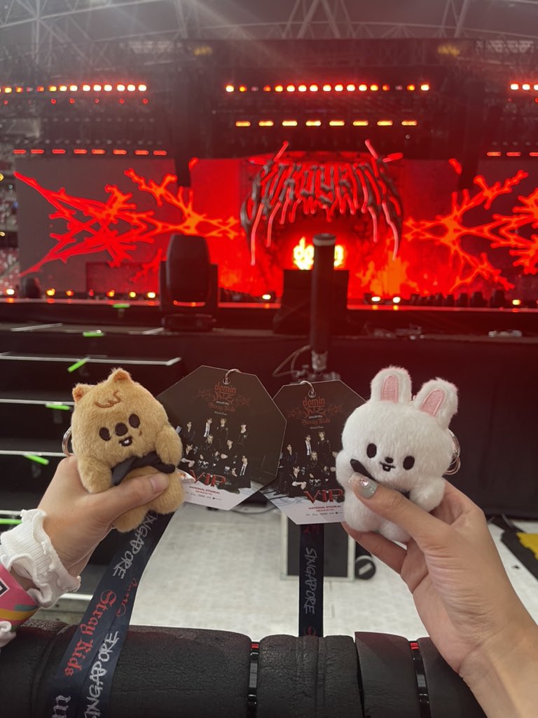 deicalza's tweet photo. (kita suporter emyu) dan juga minsungers ready to DominATE Singapore ❤️‍🔥

#soundcheckVIP
#dominATE_SINGAPORE #dominATE_in_Singapore https://t.co/PmNGkaHZQu