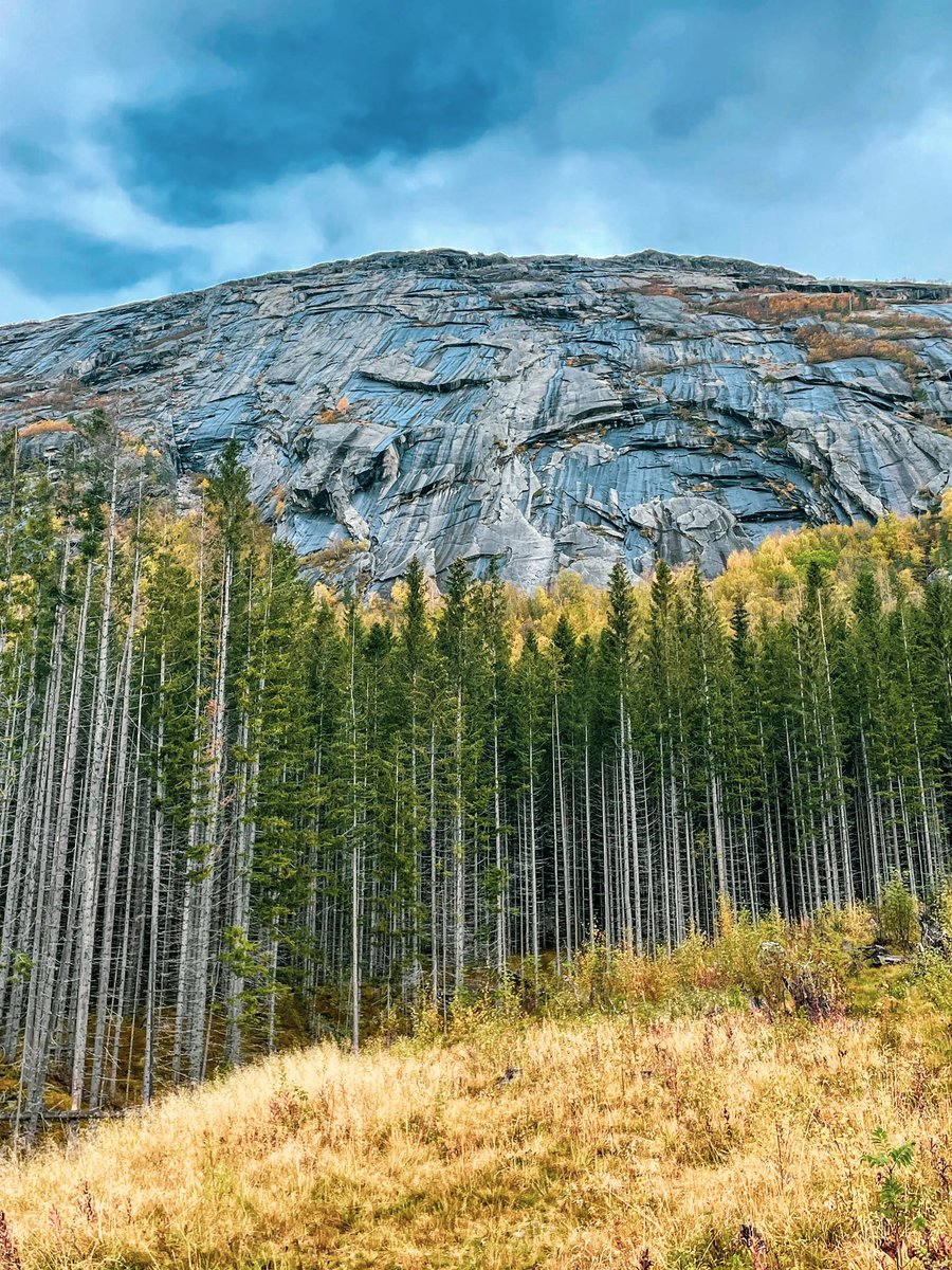 OliveAgent's tweet image. Реших да изляза на няква тъпа разходка, малко да се погрижа за тъпото си здраве… Голяма тъпня 😒