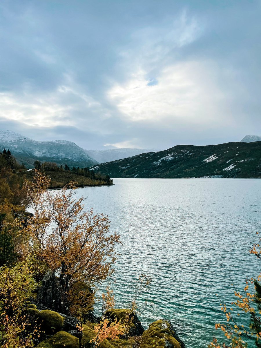 OliveAgent's tweet image. Реших да изляза на няква тъпа разходка, малко да се погрижа за тъпото си здраве… Голяма тъпня 😒