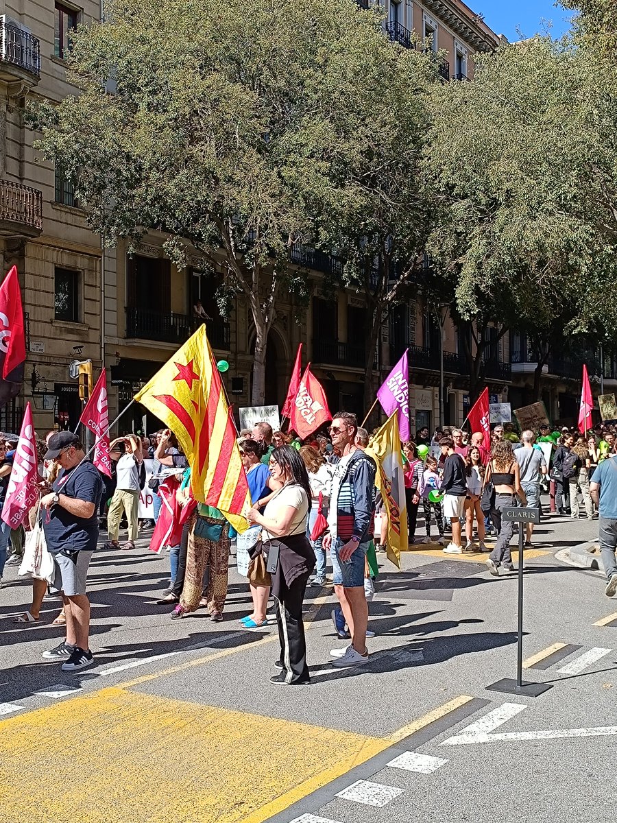 COSEducacio's tweet photo. PROU ABÚS DE TEMPORALITAT🔥

#interins #capinterinaalcarrer #fixesaja! #lesquehisomensquedem https://t.co/5a5O83hYV1