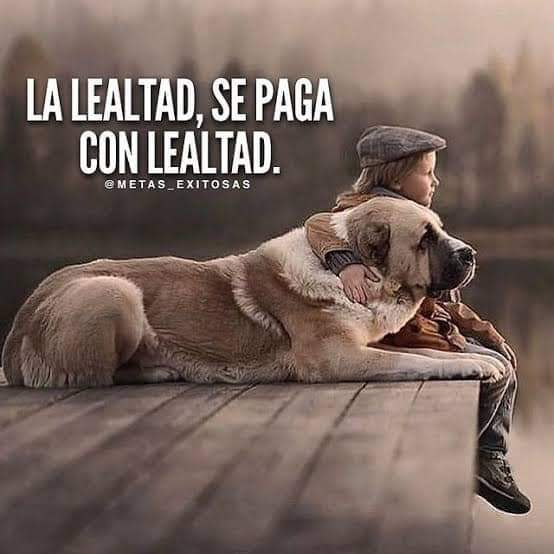 JorgeLuisRR1963's tweet photo. ASI DE SIMPLE! https://t.co/gUgNxOepjt