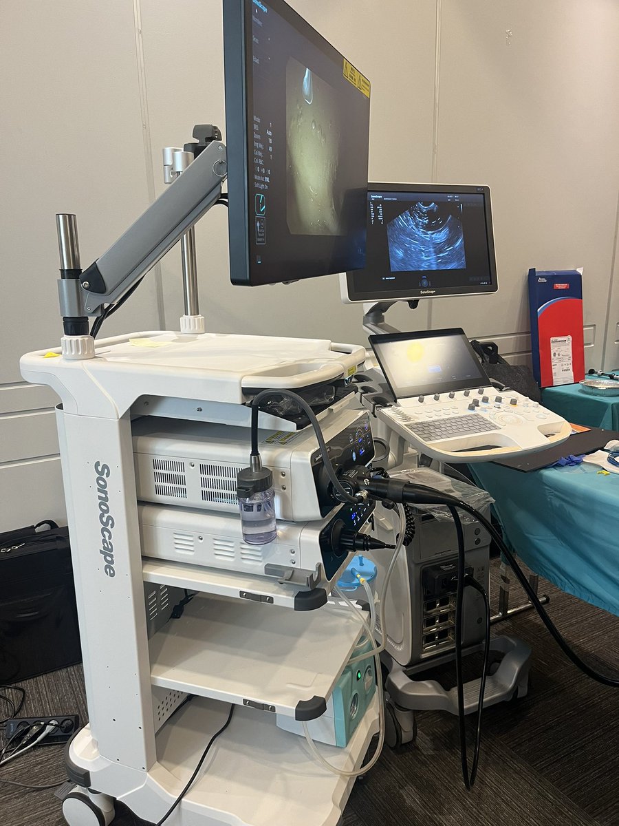 AESPANC's tweet image. Fantástica docencia del Dr. E. Pérez-Cuadrado @EPerezCuadrado en el hands-on del curso de residentes de enfermedades pancreáticas 
#AESPANC #NCP2024
@bostonsci @ERBE