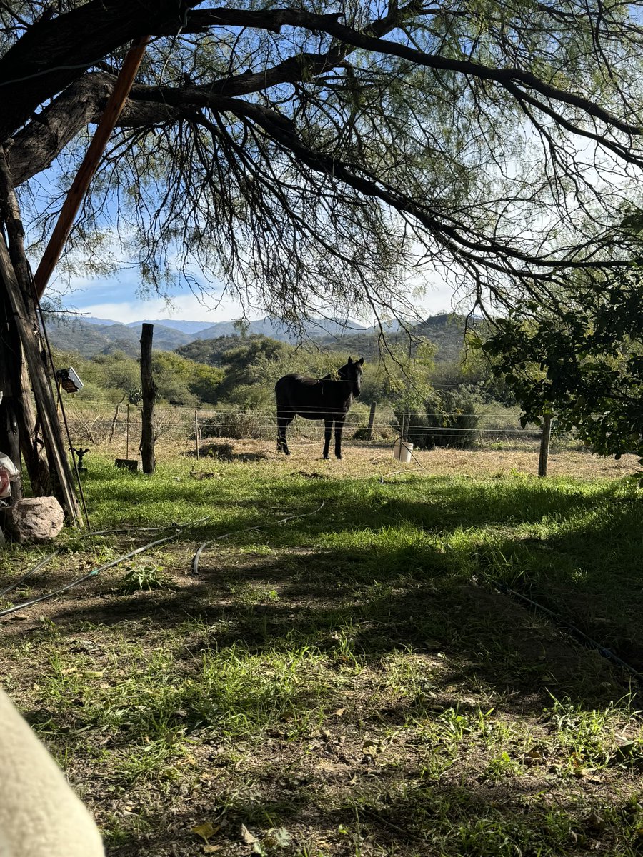 Florcis_b's tweet photo. Amanecer en el campo, prender unas ramitas y calentar el pan.
Mi vida tiene todo lo que alguna vez soñé https://t.co/inAl44viur