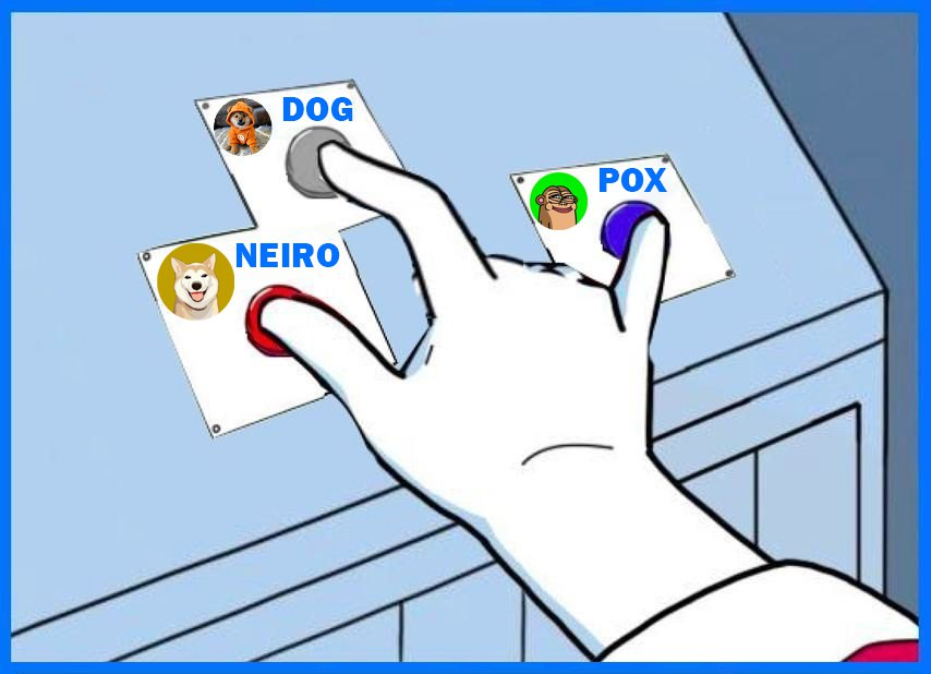 Mr Baby Whale tweet media