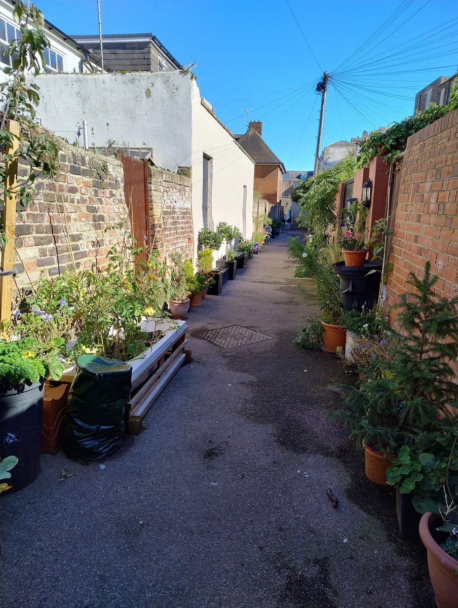 No_Expert's tweet image. Found #SpencerWalk, nice to see the community coming together to improve what used to be a fly tipping alley way #Ramsgate