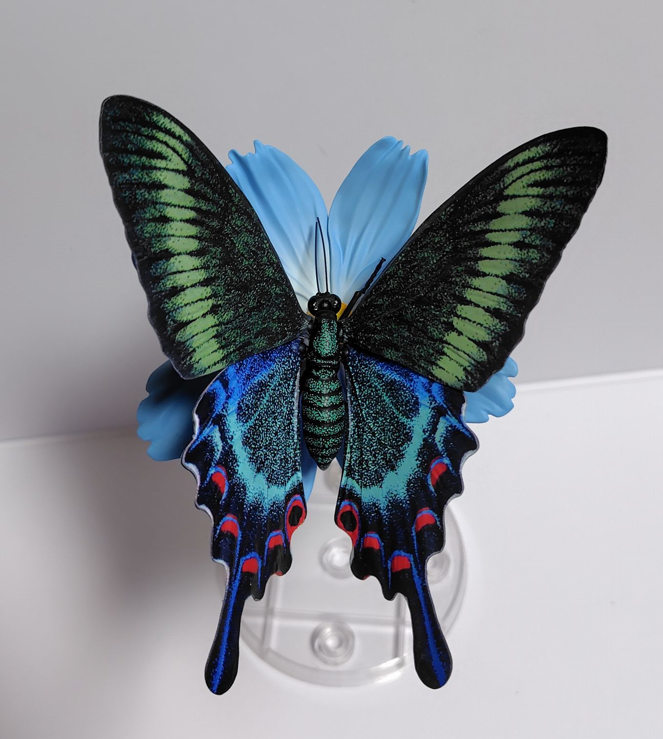 いきもの大図鑑アドバンス アゲハチョウ ナミアゲハ キアゲハ ミヤマ