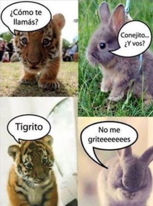 frigosouul's tweet photo. https://t.co/5AtGqun4xa