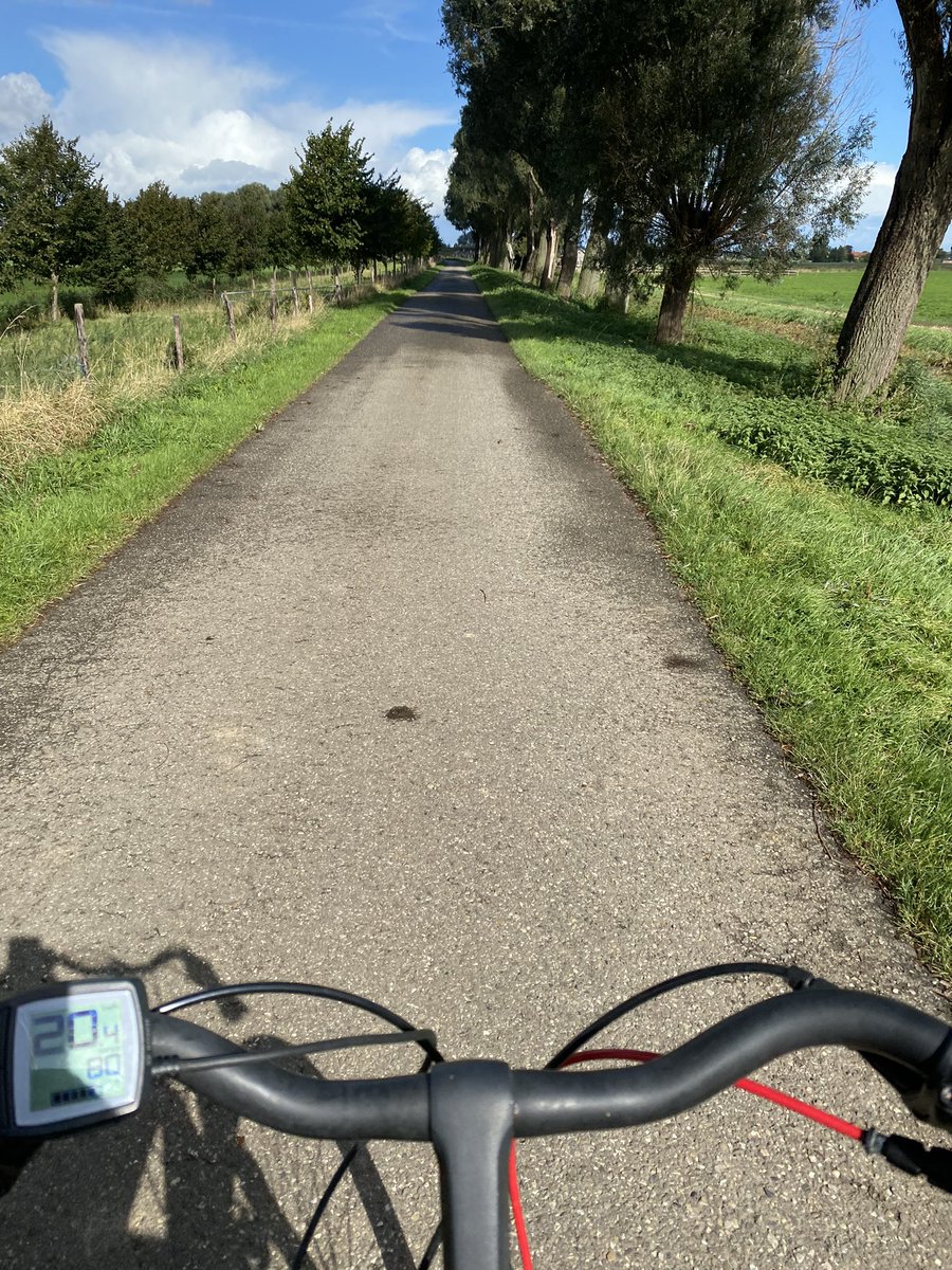 Sander vijverberg tweet media