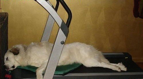 SlenderSherbet's tweet photo. What I actually meant when I said that I'd been on the treadmill for two hours. https://t.co/SaWKp0iafu