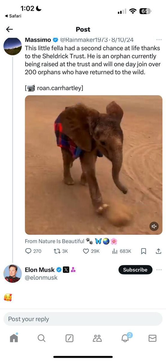 Flawless tweet media