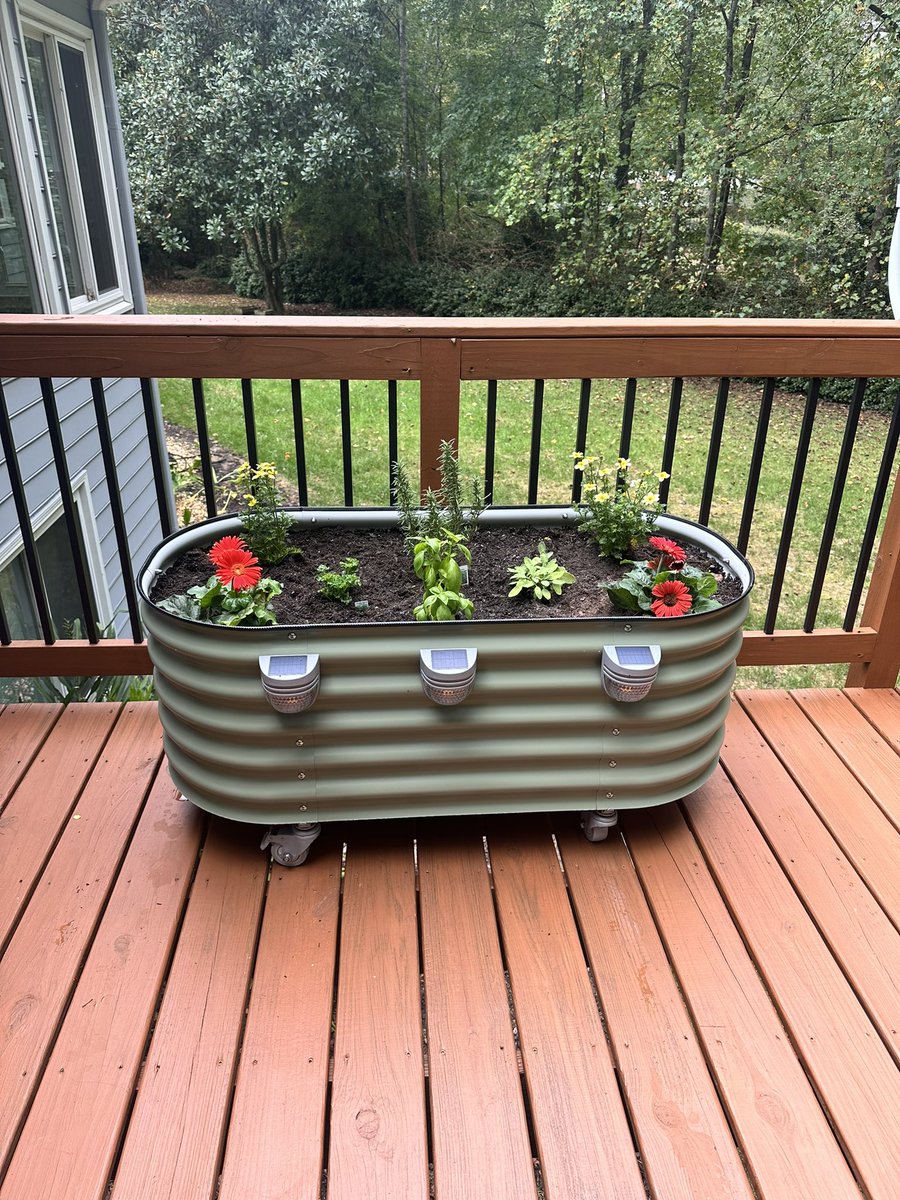 Being good while momma cleans the deck and plants the fall garden in our new deck planters.